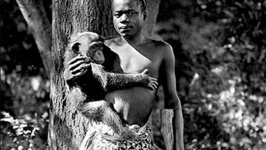 La historia del joven pigmeo que exhibieron en el zoo de Nueva York