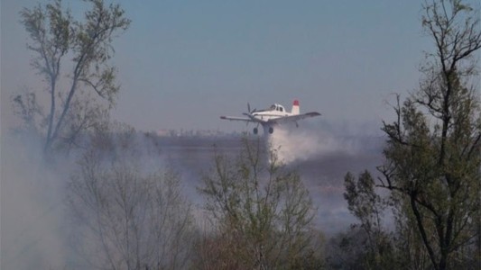 Incendios en las islas del Paraná: cayó un avión hidrante