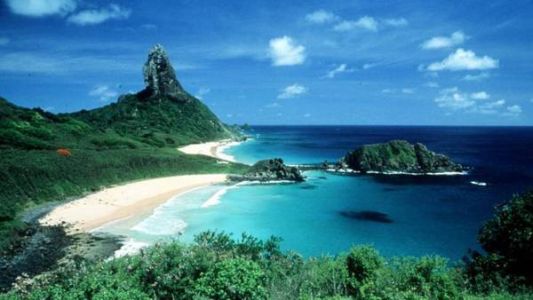 Una isla paradisíaca, invadida por sapos deformes