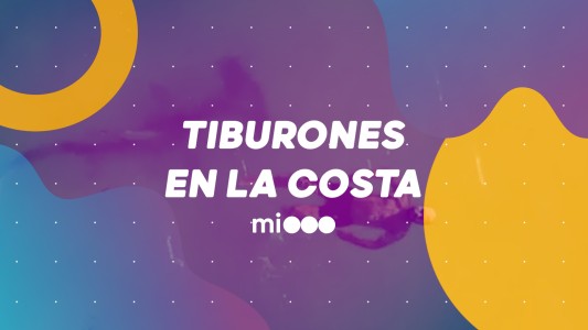 #BuenFlash Tiburones en la costa