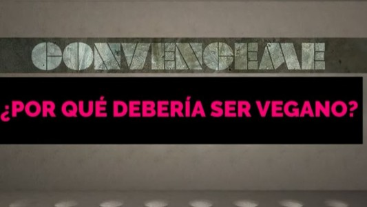 Convenceme: ¿Por qué debería ser vegano?