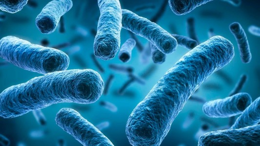 Hay cinco fallecidos por infección con Legionella en Tucumán