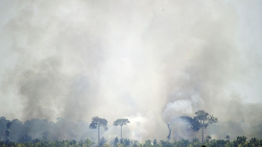 Día de la Amazonia: los incendios se disparan en el inicio de septiembre