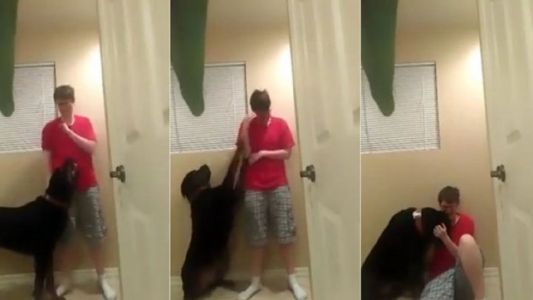 Video: el perro que consuela a una chica con autismo