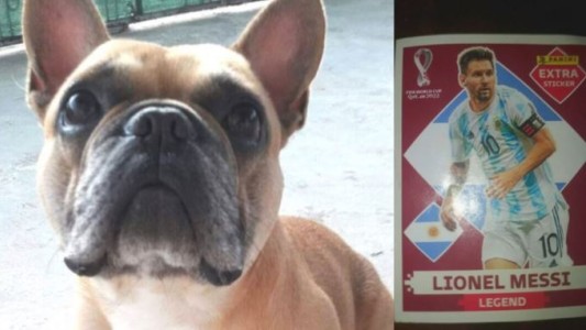 Jujuy: Un niño ofrece su figurita de Lionel Messi para recuperar el perro robado de su amiga