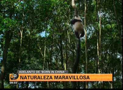 Un adelanto de "Born in China"