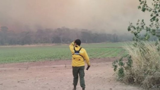Incendios en Jujuy arrasaron con más de 6.000 hectáreas en las yungas: "Fueron intencionales", denunció el Gobernador