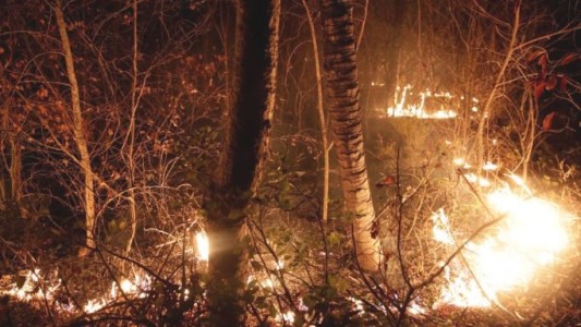 Incendios arrasaron con un millón de hectáreas en Bolivia