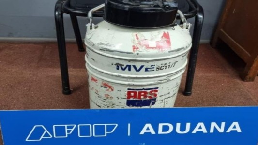 Misiones: la Aduana secuestró un recipiente con semen de toro valuado en 500.000 dólares