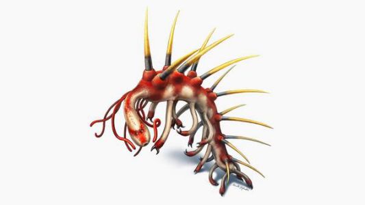 Científicos revelaron el mayor enigma de la evolución animal