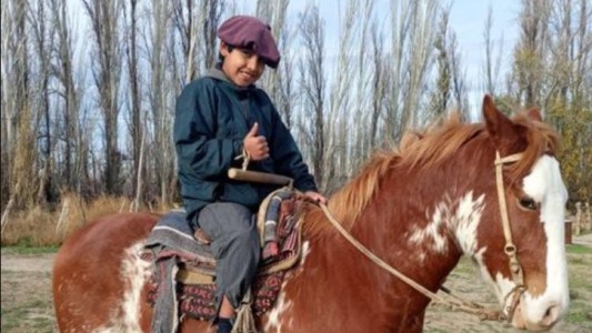 "Vos no tenés ni corazón, me comiste el caballo": denuncia y tristeza de un chico de 12 años