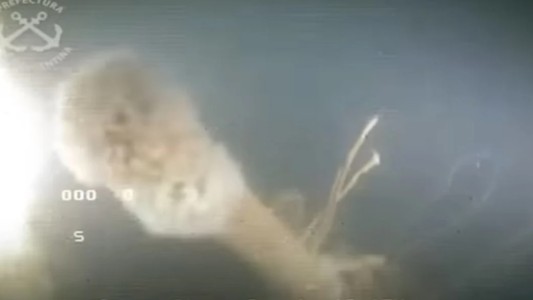 Confirman que el submarino hallado en Quequén perteneció al nazismo