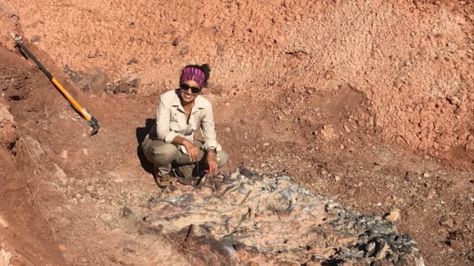 Cecilia Apaldetti, investigadora del Conicet: "Al bautizar un dinosaurio con nombre femenino rompimos la Matrix"