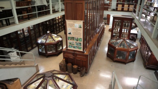 La Noche de los Museos: La UBA abre 12 museos para mostrar sus 201 años de historia