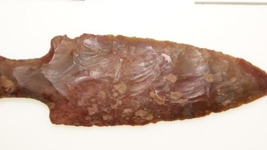 Las armas "cola de pescado" causaron la extinción de la megafauna en Sudamérica