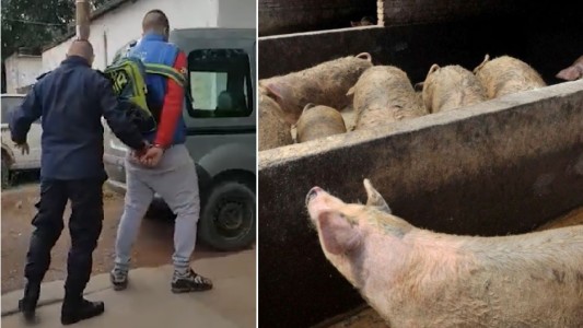 Horror en General Rodríguez: lo mató de un tiro y lo tiró a los chanchos para que coman el cuerpo