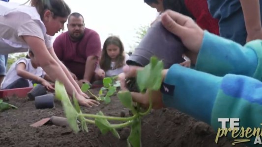 Te presento: Reforestación Alimentaria, una organización que reforesta con árboles frutales en escuelas, comedores y hogares