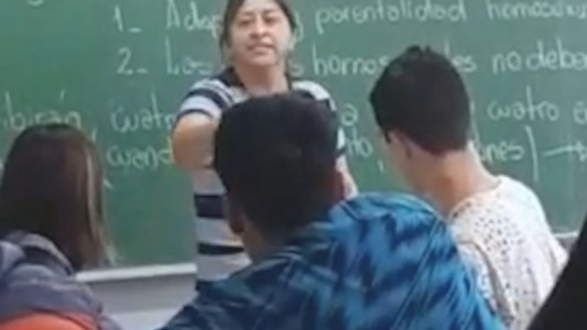 "La situación desbordó": habló la mujer que golpeó a un compañero de su hijo por bullying