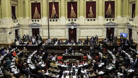 Diputados debate la capacitación obligatoria para funcionarios en “Ley Lucio”