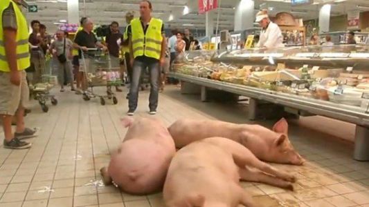 Video: dejaron a cerdos en medio de un supermercado como protesta