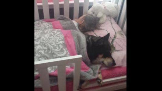 #EsViral  El perro que duerme la siesta en la cuna con una nena