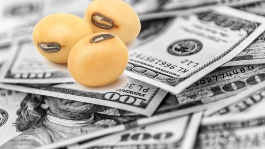 El Gobierno estima que el "dólar soja" llevará a US$10.000 millones de reservas