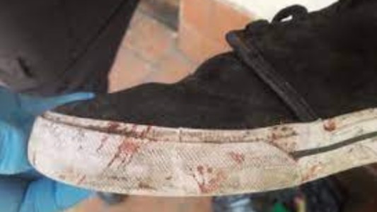 Día 7 del juicio por el crimen de Báez Sosa: la zapatilla de Thomsen, en el centro de atención