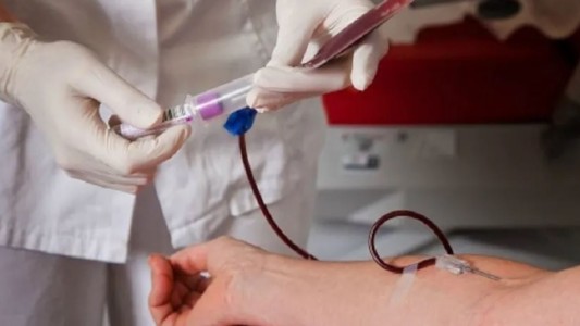 Alemania va a levantar restricciones a los donantes de sangre homosexuales