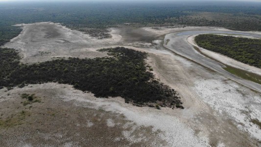 Animales muertos, ríos sin agua y desesperación: las desgarradoras imágenes de la sequía