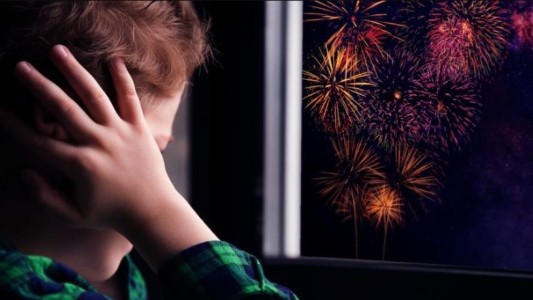 Pirotecnia cero: ya rige la prohibición de fuegos artificiales en provincia de Buenos Aires