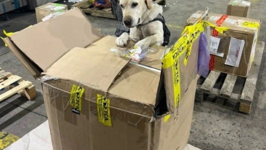 La Aduana secuestró 17 kilos de hachís ocultos en una aspiradora que venía de Estados Unidos