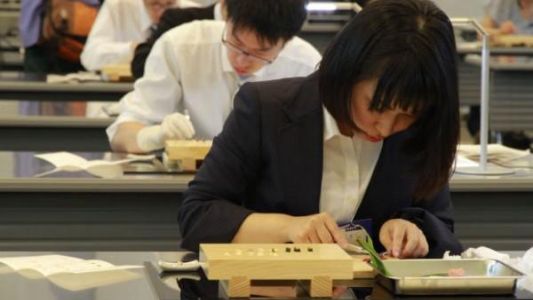 Cirujanos japoneses se entrenan "operando" piezas de sushi y origami