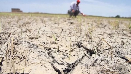 Aumenta el riesgo de sequía: 175 millones de hectáreas en peligro