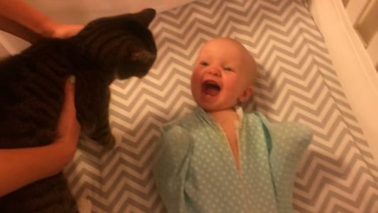 #EsViral La bebé que ama demasiado a su gato