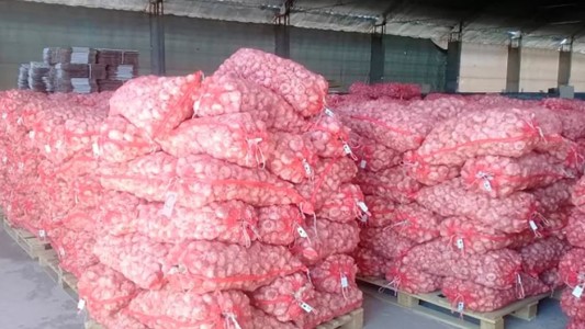 Denuncian a una empresa que exportó 700 toneladas de ajo, sin personal ni domicilio fiscal