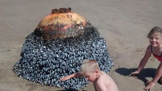 Jugaron y posaron junto a una boya, pero era una bomba gigante