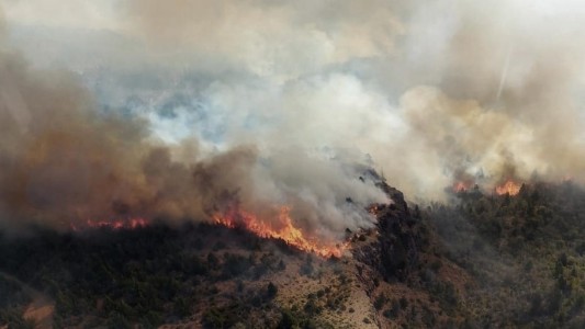 Incendios en Parque Los Alerces: advierten "un patrón de intencionalidad"