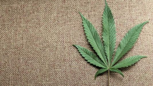 Reino Unido desarrolla el "porro electrónico" con fines terapéuticos