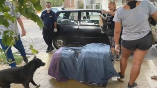 Horror en San Juan: denuncian que una mujer asesinaba perros y gatos para "alargar su vida"