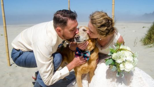 Pareja lleva a su perro con cáncer terminal al mar como su testigo de boda
