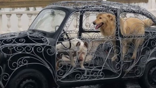 Una reliquia artesanal: así es el fitito "transparente" de Santa Fe - #FlashChat