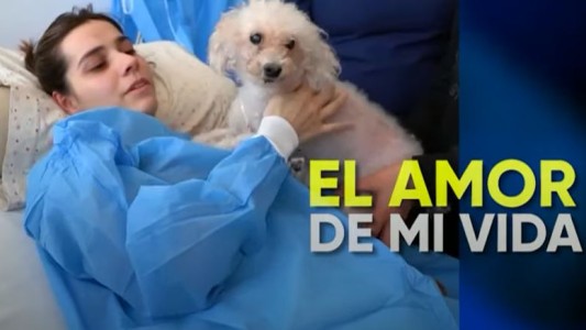 "El amor de mi vida": historias de quienes consideran a sus perros su mejor compañía