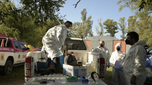 Córdoba: detectaron 4 nuevos casos de gripe aviar y ya son 24 las infecciones en la provincia