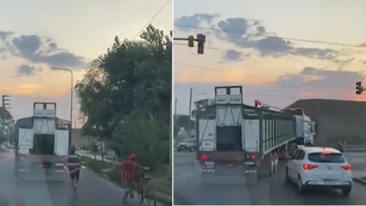 Video: corrieron un camión para robarse las vacas