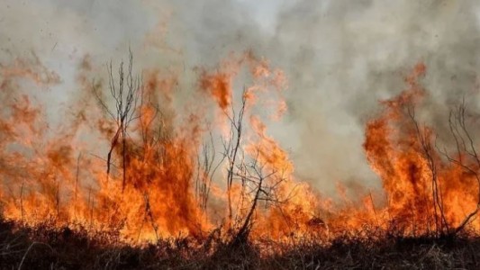 Incendios en islas del Delta del río Paraná: brigadistas combaten dos focos activos