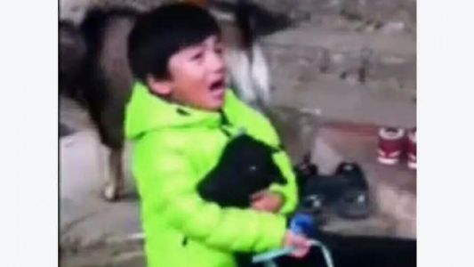 El nene que salvó a una cabra de ser sacrificada