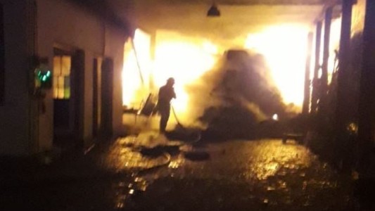 Murieron ocho caballos calcinados tras quedar atrapados en un incendio en La Plata