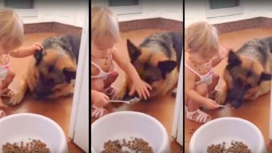 Pura ternura: Una nena le da de comer en la boca con cuchara a su perro