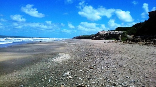 Horror en Miramar: caminaba por la playa y encontró un cadáver mutilado