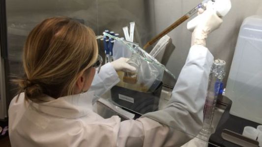 Primer laboratorio dedicado a trasplantes de materia fecal